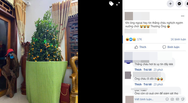 Hay tin cháu xuống thăm, ông ngoại mới mua cây quất chơi Tết đành phải giấu nhẹm đi theo cách đặc biệt khiến dân mạng không nhịn được cười-1