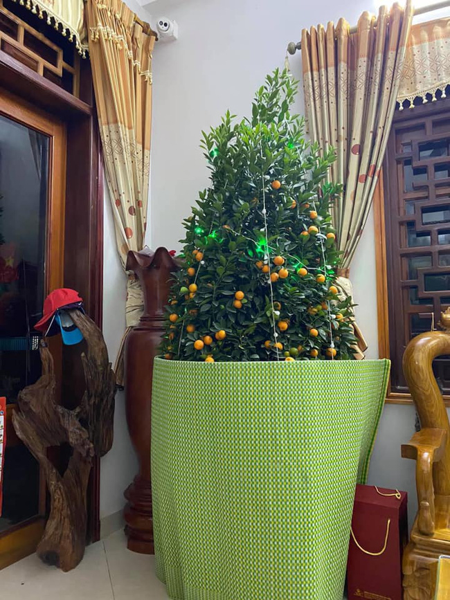 Hay tin cháu xuống thăm, ông ngoại mới mua cây quất chơi Tết đành phải giấu nhẹm đi theo cách đặc biệt khiến dân mạng không nhịn được cười-2