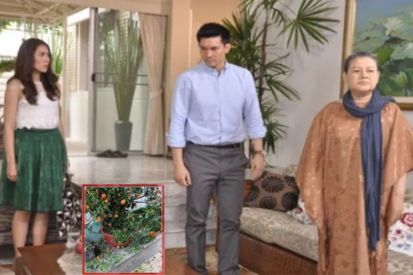 Mẹ vợ lên nhà chơi, chồng tôi trốn trong phòng, đến lúc mẹ về thì vội đưa ra một chiếc váy khiến tôi nghẹn ngào-2