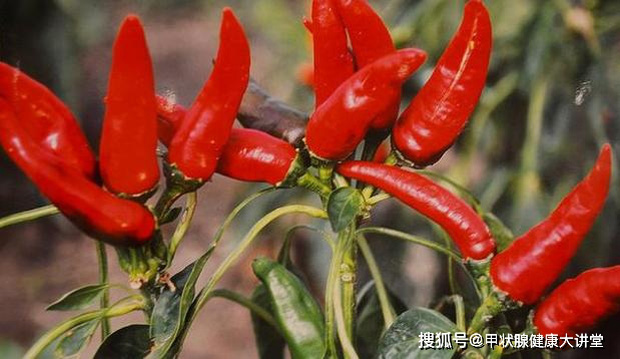 Gia đình 3 người được chẩn đoán mắc ung thư tuyến giáp, bác sĩ tiếc nuối: 3 món ăn đáng trách gây ra cơ sự này-5