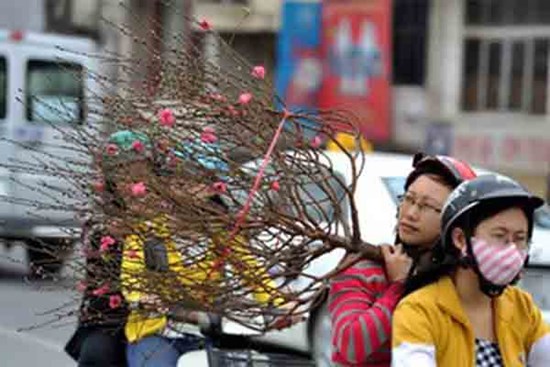 Dự báo thời tiết 6/2, miền Bắc nắng ấm