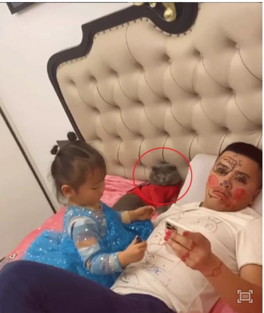 Bố bất lực để con gái vẽ đầy lên người, nhưng phản ứng của nhân vật này mới là chi tiết khiến người xem phải ôm bụng cười-1