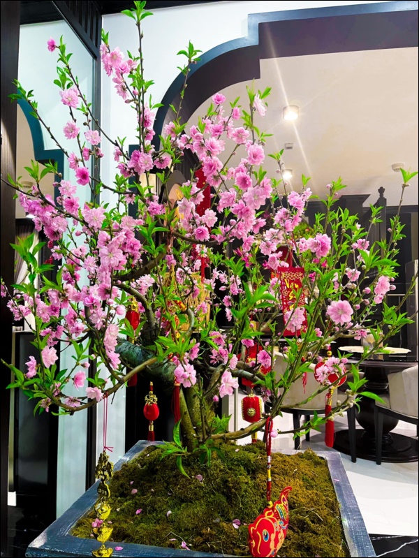 Không gian nhà mới đẳng cấp quý tộc&nbsp;của Phương Oanh, Tết đến càng thêm sang chảnh nhờ đầu tư hoành tráng-10