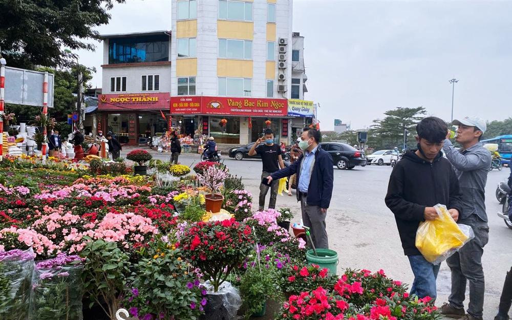 Báo nhanh từ chợ hoa: Giá của các chậu hoa không thể thiếu khi trang trí nhà ngày Tết-12