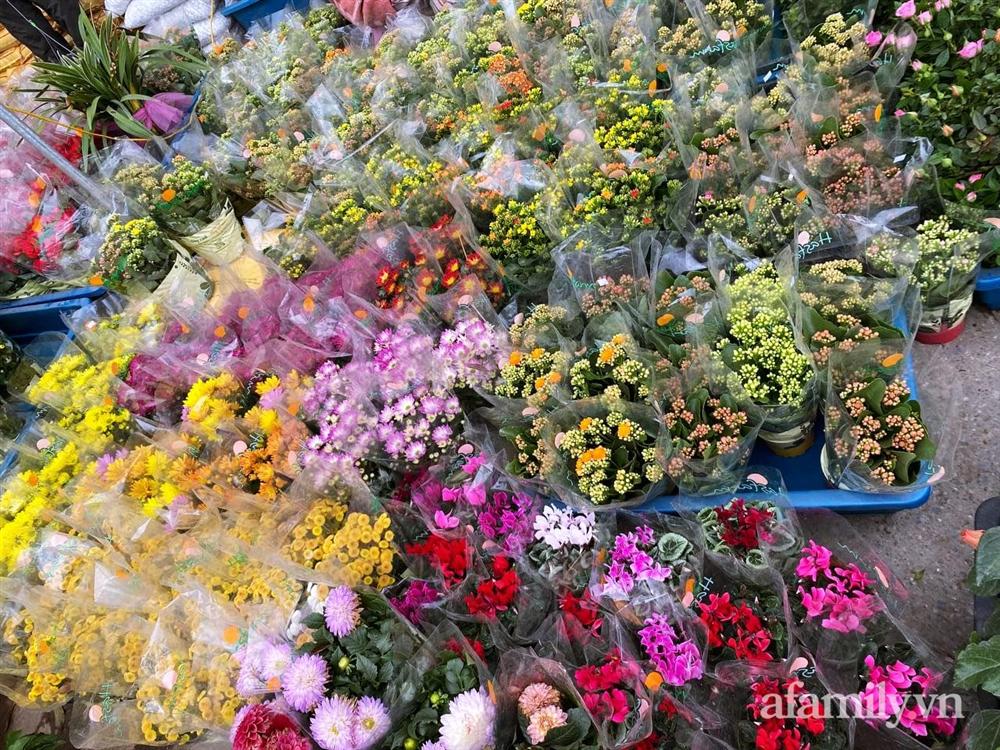 Báo nhanh từ chợ hoa: Giá của các chậu hoa không thể thiếu khi trang trí nhà ngày Tết-10
