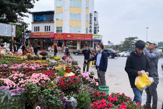 Báo nhanh từ chợ hoa: Giá của các chậu hoa không thể thiếu khi trang trí nhà ngày Tết