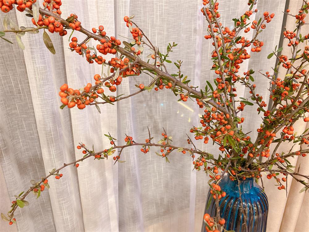 Gợi ý những loại hoa chơi Tết đẹp, hết mùng vẫn chưa tàn, khách đến nhà chơi ai cũng khen tấm tắc!-4