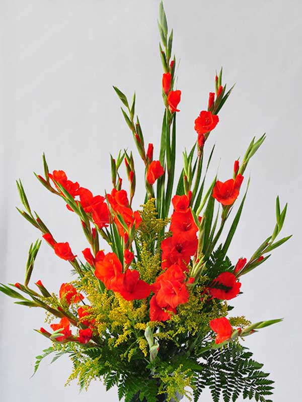 Gợi ý những loại hoa chơi Tết đẹp, hết mùng vẫn chưa tàn, khách đến nhà chơi ai cũng khen tấm tắc!-5