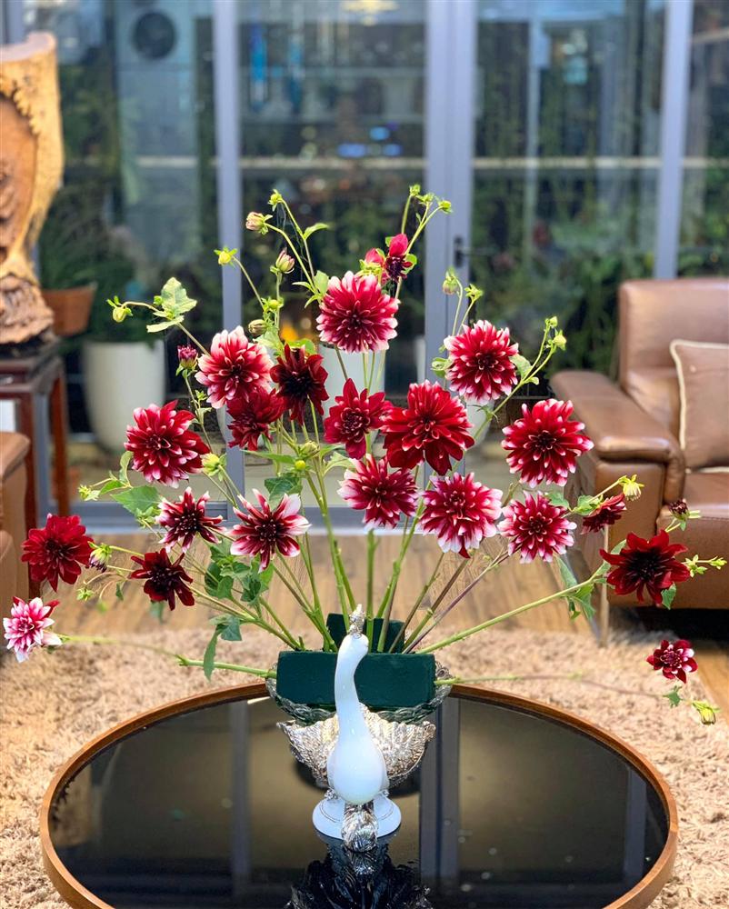 Gợi ý những loại hoa chơi Tết đẹp, hết mùng vẫn chưa tàn, khách đến nhà chơi ai cũng khen tấm tắc!-8