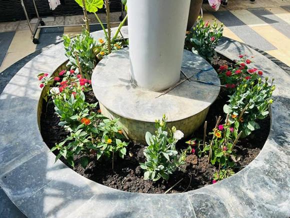 Khám phá không gian nhà rực rỡ sắc hoa của vợ chồng Mạc Văn Khoa-10