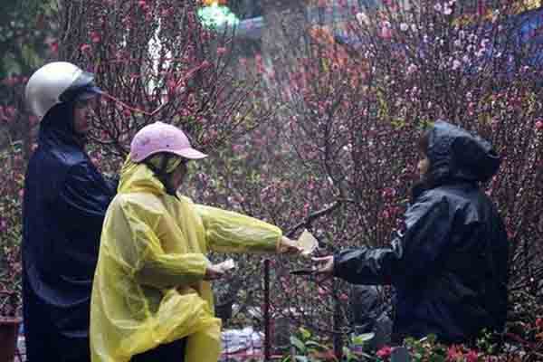 Dự báo thời tiết 9/2, miền Bắc mưa rét-2