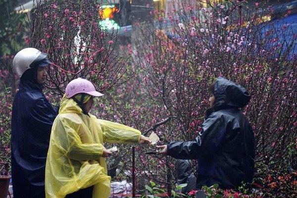 Dự báo thời tiết 8/2, miền Bắc mưa từ đêm nay-1