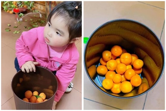 Mẹ vừa mua được cây quất chơi Tết, quay ra quay vào con đã vặt hết quả, cuối năm đúng là mùa 