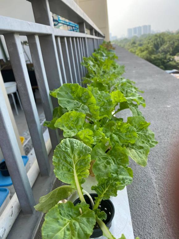 Hậu ly hôn Ngọc Lan, đây là căn hộ nhỏ Thanh Bình đang sinh sống-12