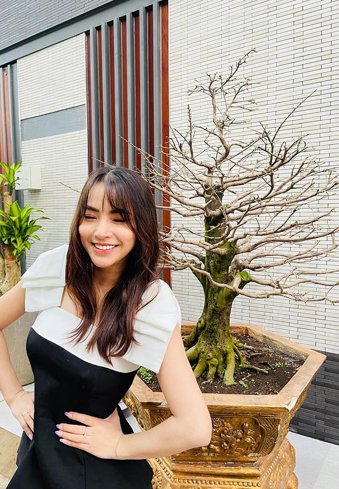 Hải Băng, Thành Đạt bức xúc vì bị trộm cây mai 50 triệu đồng-3