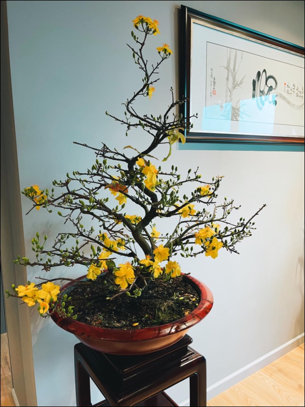 Chơi Tết hoành tráng như MC Thành Trung, tự tay trang hoàng&nbsp;căn&nbsp;penthouse cao cấp&nbsp;ngập hoa tươi đắt tiền-5