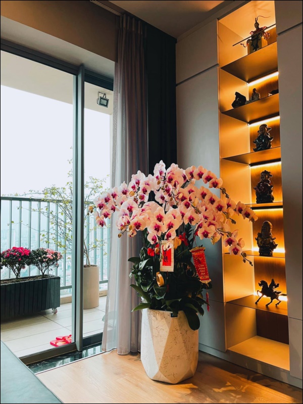 Chơi Tết hoành tráng như MC Thành Trung, tự tay trang hoàng căn penthouse cao cấp ngập hoa tươi đắt tiền-10