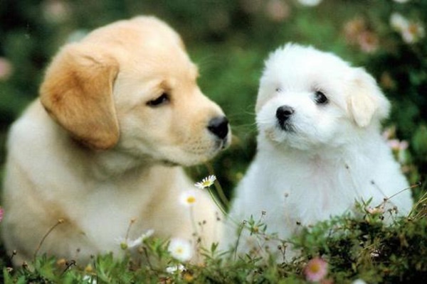 Phụ nữ sinh tháng âm lịch này, tiền vận tuy khó khăn nhưng sẽ khổ tận cam lai, từ năm 2021 trở đi chỉ từ hạnh phúc đến giàu có-4