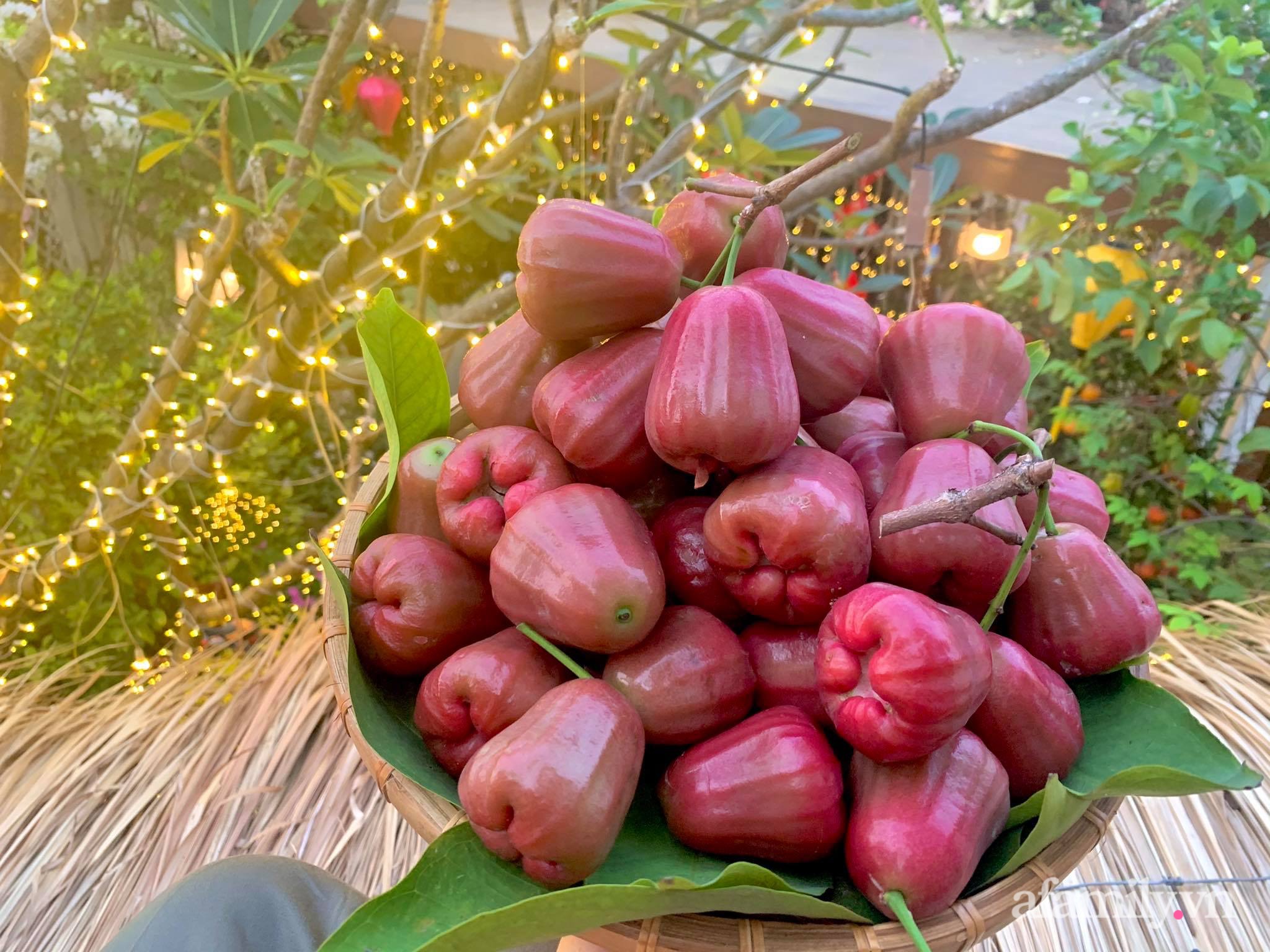 Mùng 1 đầu năm cùng ghé thăm sân thượng mang sắc màu Tết truyền thống của mẹ đảm ở Sài Gòn-20