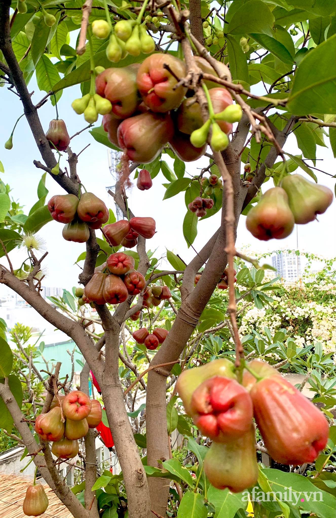 Mùng 1 đầu năm cùng ghé thăm sân thượng mang sắc màu Tết truyền thống của mẹ đảm ở Sài Gòn-26