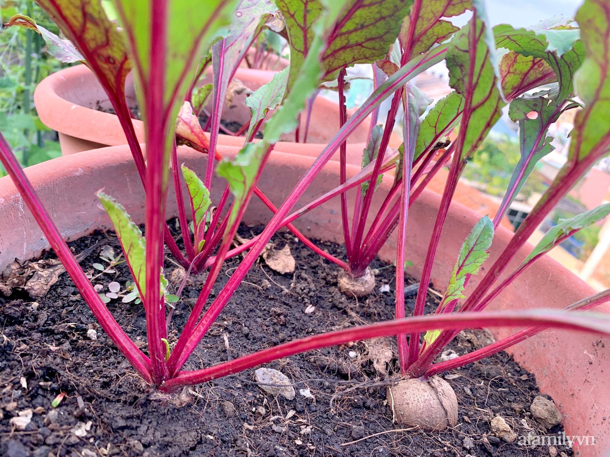 Mùng 1 đầu năm cùng ghé thăm sân thượng mang sắc màu Tết truyền thống của mẹ đảm ở Sài Gòn-30