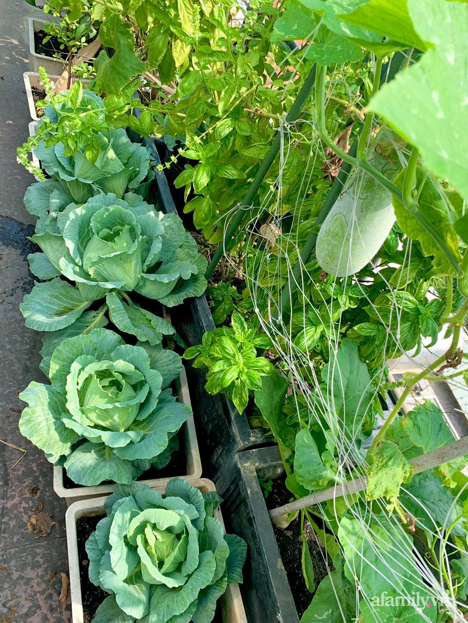 Mùng 1 đầu năm cùng ghé thăm sân thượng mang sắc màu Tết truyền thống của mẹ đảm ở Sài Gòn-33