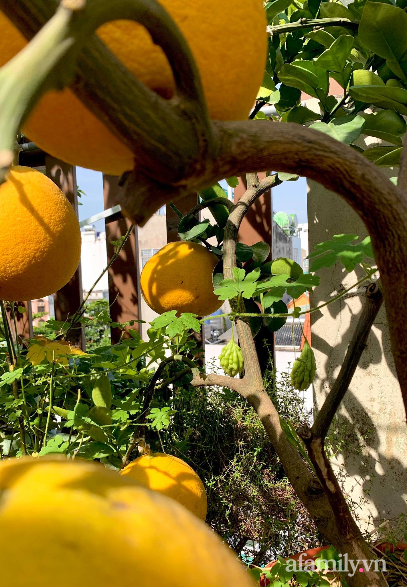 Mùng 1 đầu năm cùng ghé thăm sân thượng mang sắc màu Tết truyền thống của mẹ đảm ở Sài Gòn-39