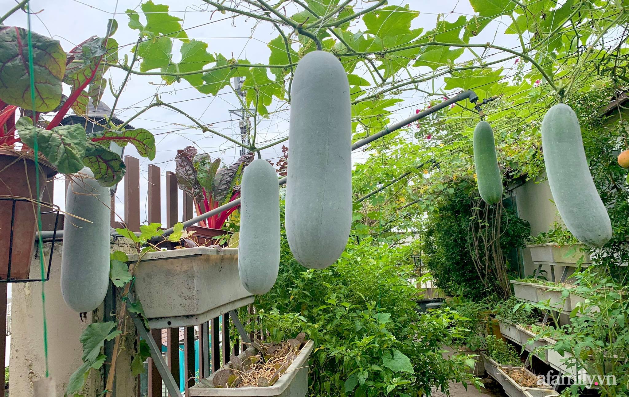 Mùng 1 đầu năm cùng ghé thăm sân thượng mang sắc màu Tết truyền thống của mẹ đảm ở Sài Gòn-22