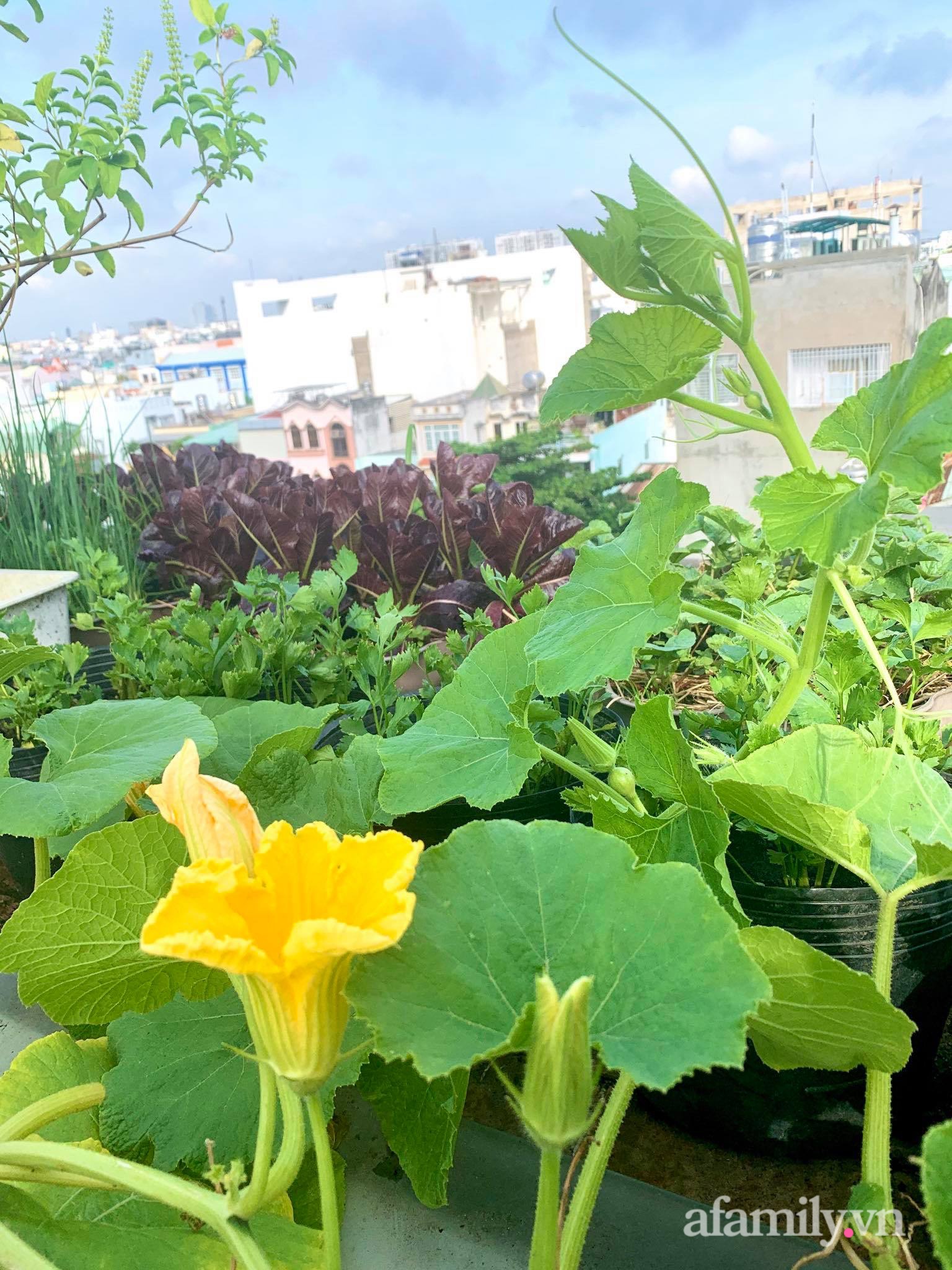 Mùng 1 đầu năm cùng ghé thăm sân thượng mang sắc màu Tết truyền thống của mẹ đảm ở Sài Gòn-38