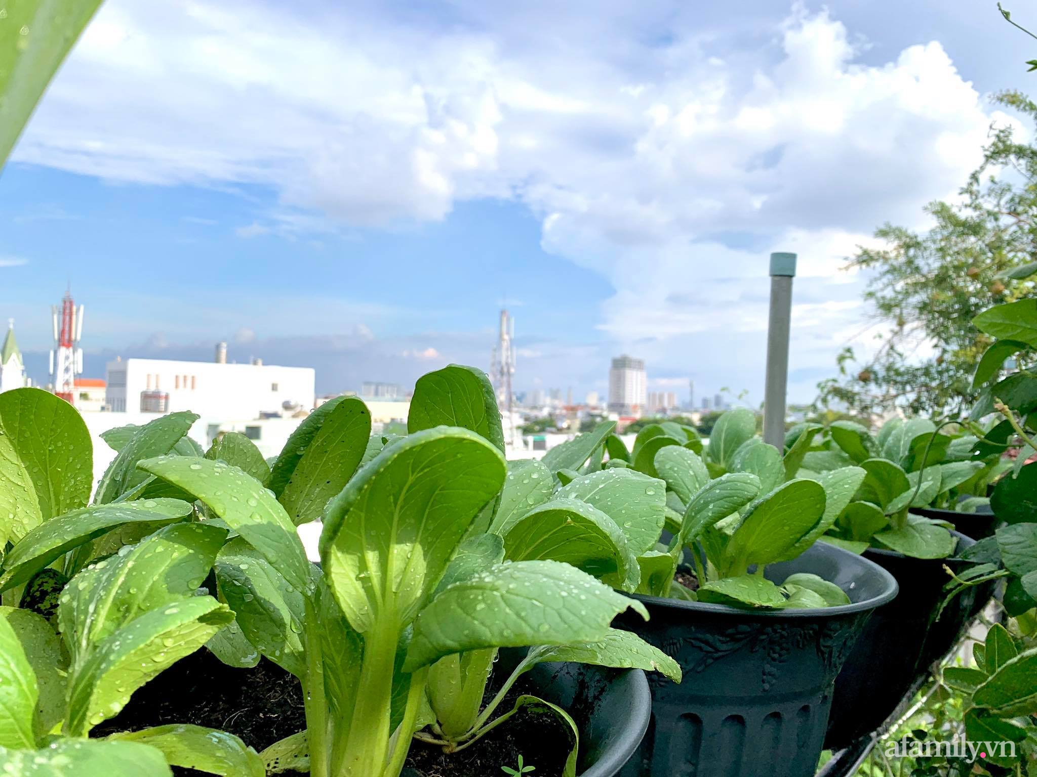 Mùng 1 đầu năm cùng ghé thăm sân thượng mang sắc màu Tết truyền thống của mẹ đảm ở Sài Gòn-36