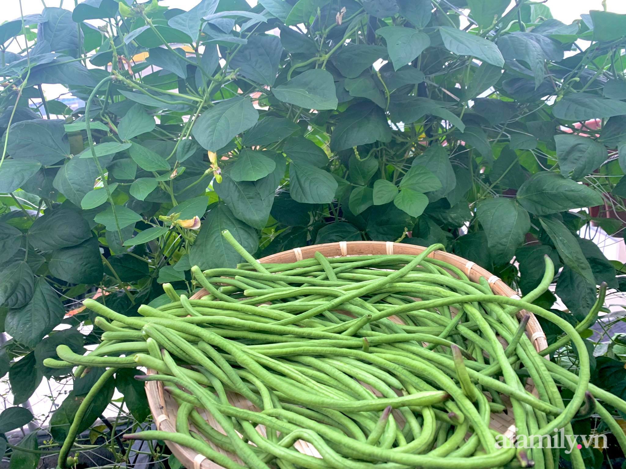 Mùng 1 đầu năm cùng ghé thăm sân thượng mang sắc màu Tết truyền thống của mẹ đảm ở Sài Gòn-35