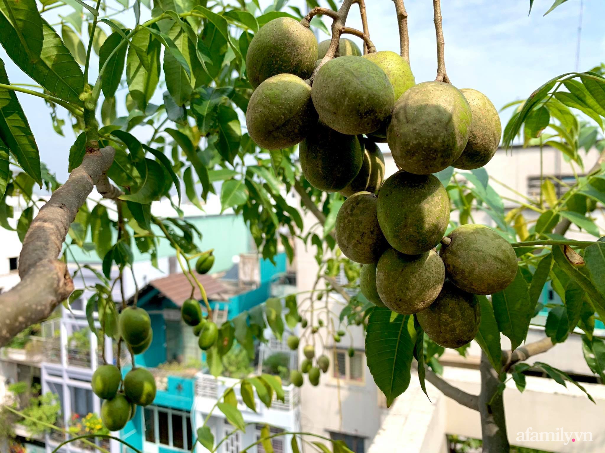 Mùng 1 đầu năm cùng ghé thăm sân thượng mang sắc màu Tết truyền thống của mẹ đảm ở Sài Gòn-34