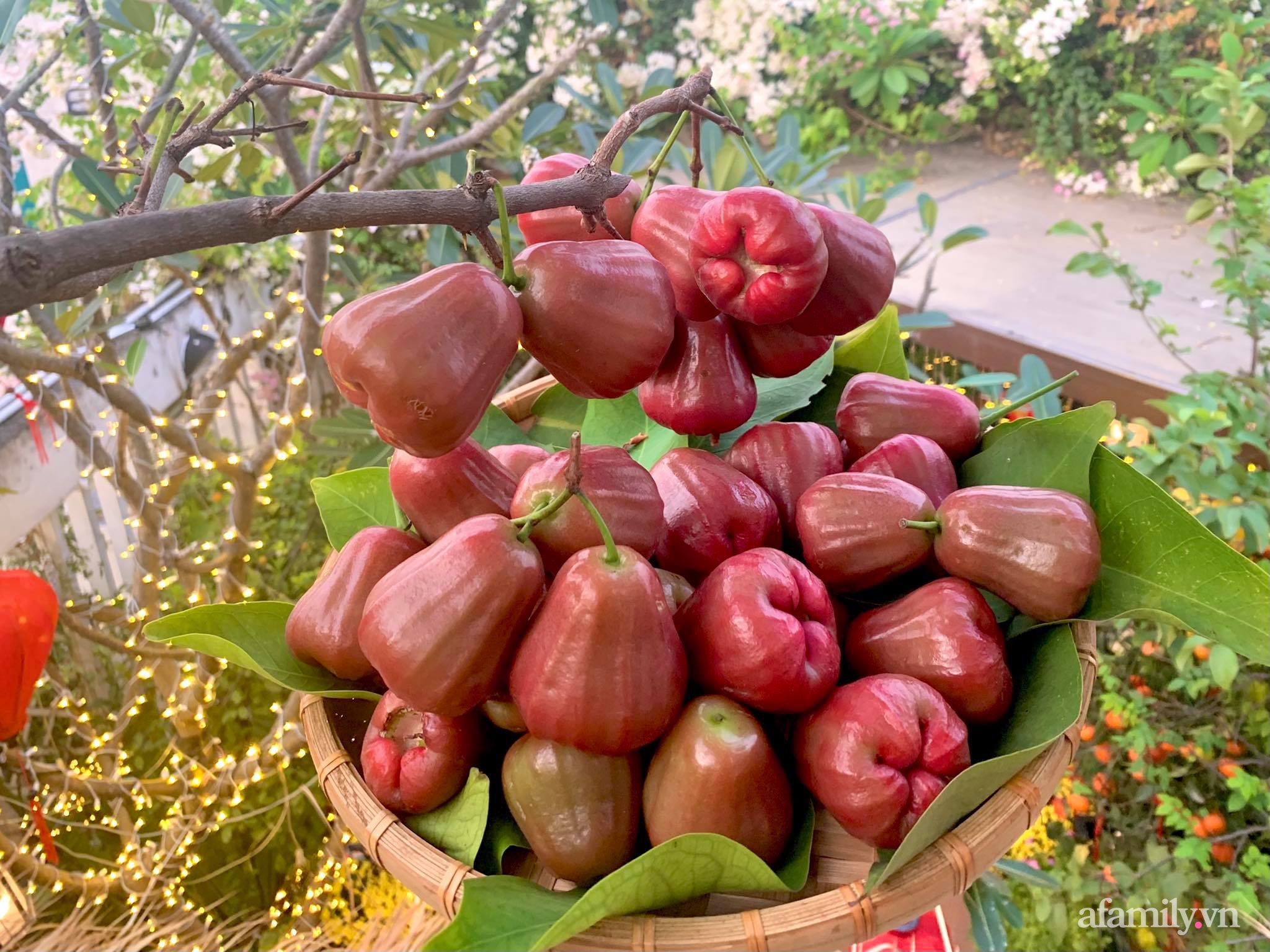 Mùng 1 đầu năm cùng ghé thăm sân thượng mang sắc màu Tết truyền thống của mẹ đảm ở Sài Gòn-17