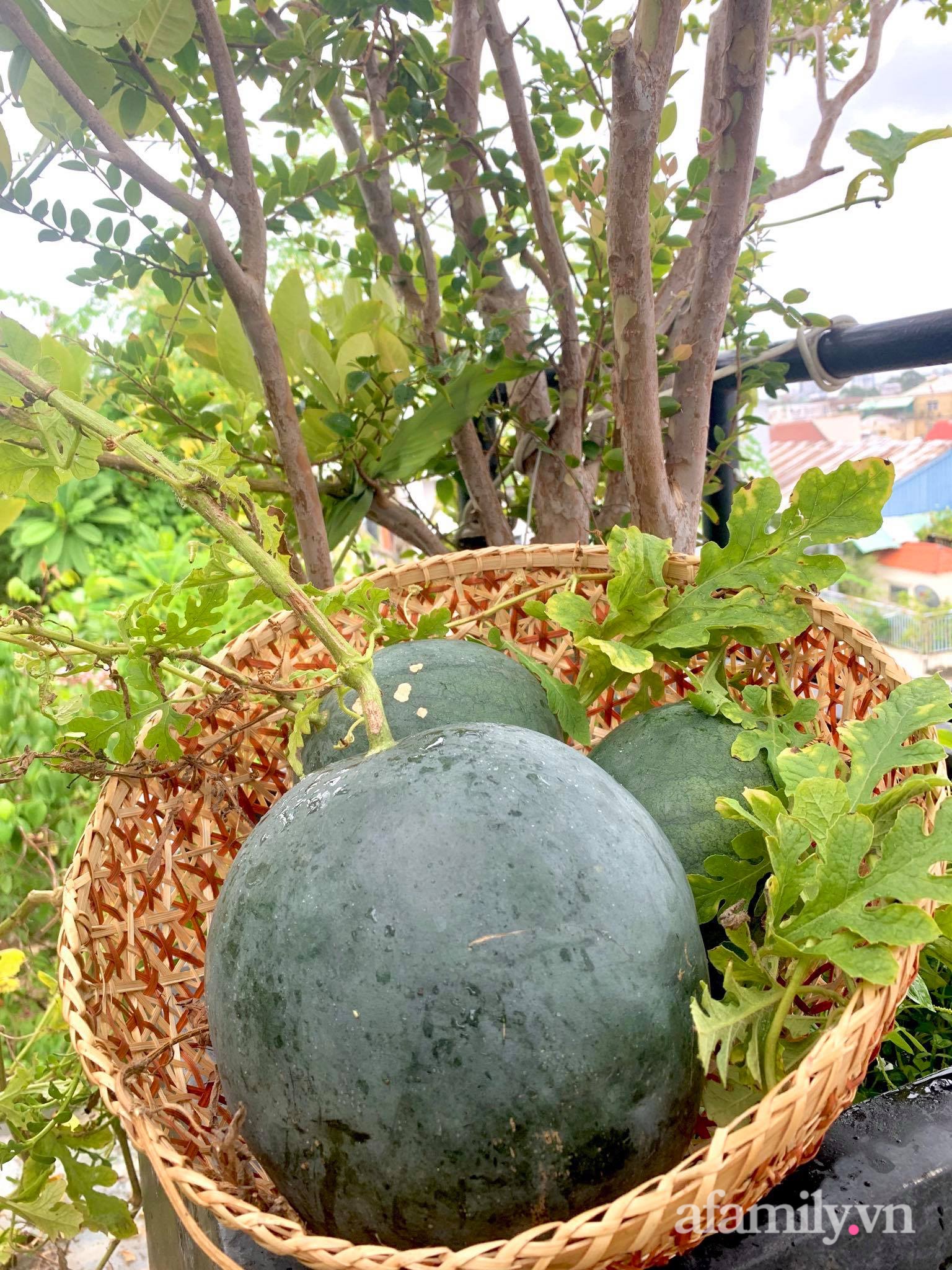 Mùng 1 đầu năm cùng ghé thăm sân thượng mang sắc màu Tết truyền thống của mẹ đảm ở Sài Gòn-12