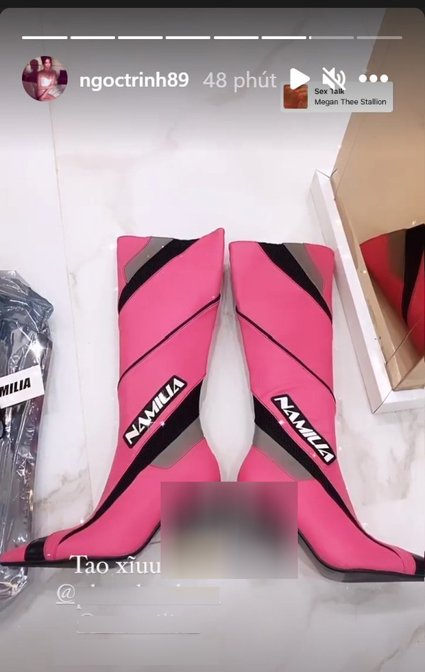 Đầu năm Ngọc Trinh đã có hành động phản cảm đỉnh điểm: Đăng clip nhạy cảm của cún, bình luận với ngôn từ thô tục-3