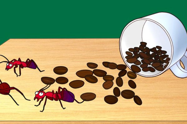 Mẹo dùng áo len mấy năm cũng không bị dão-2