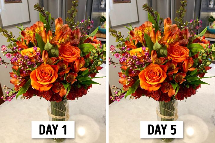 Cà phê không chỉ dùng để uống mà còn đem lại nhiều lợi ích không ngờ cho ngôi nhà của bạn-2