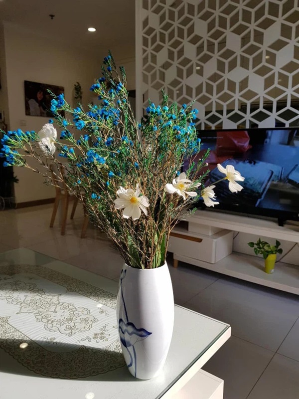 Hé lộ không gian sống của BTV Thời sự 19h Hoài Anh-2