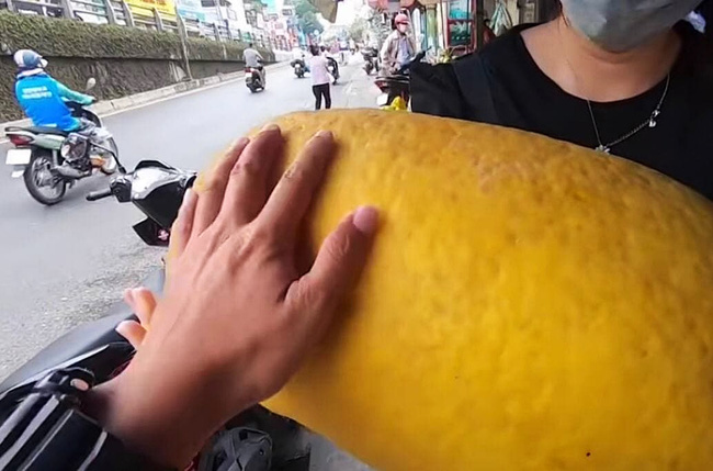 Dân mạng xôn xao loại bưởi lạ to như quả bí khổng lồ, ăn được từ vỏ đến ruột với giá lên tới 100k/kg!?-4