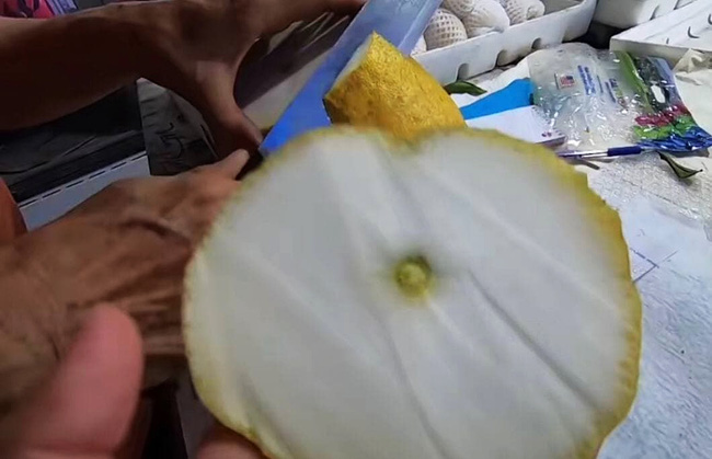 Dân mạng xôn xao loại bưởi lạ to như quả bí khổng lồ, ăn được từ vỏ đến ruột với giá lên tới 100k/kg!?-5