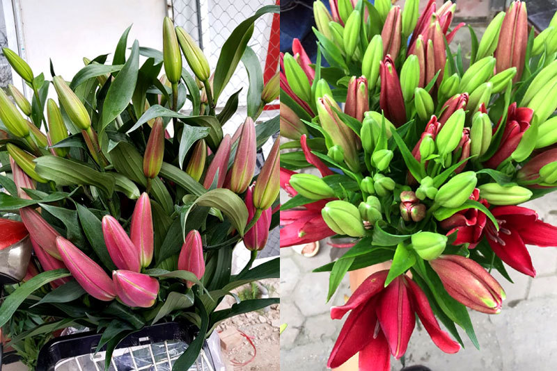 Hoa tươi giá rẻ như rau, chị em rủ nhau ‘giải cứu’ cho dân làng-3