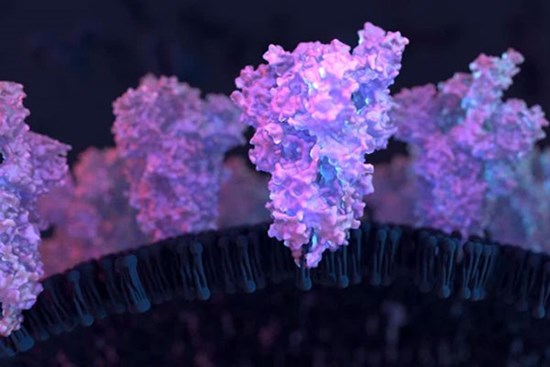 Vì sao biến chủng của virus SARS-CoV-2 xuất hiện ngày càng nhiều và qua mặt hệ miễn dịch?