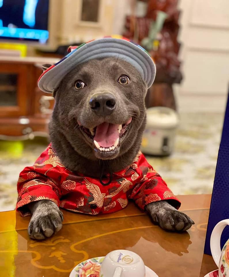 Idol Nguyễn Văn Dúi nay đã khác, thay đổi hình tượng thần thái trong mắt các fan nhưng chỉ khiến dân mạng nhìn ra một yang hồ-4