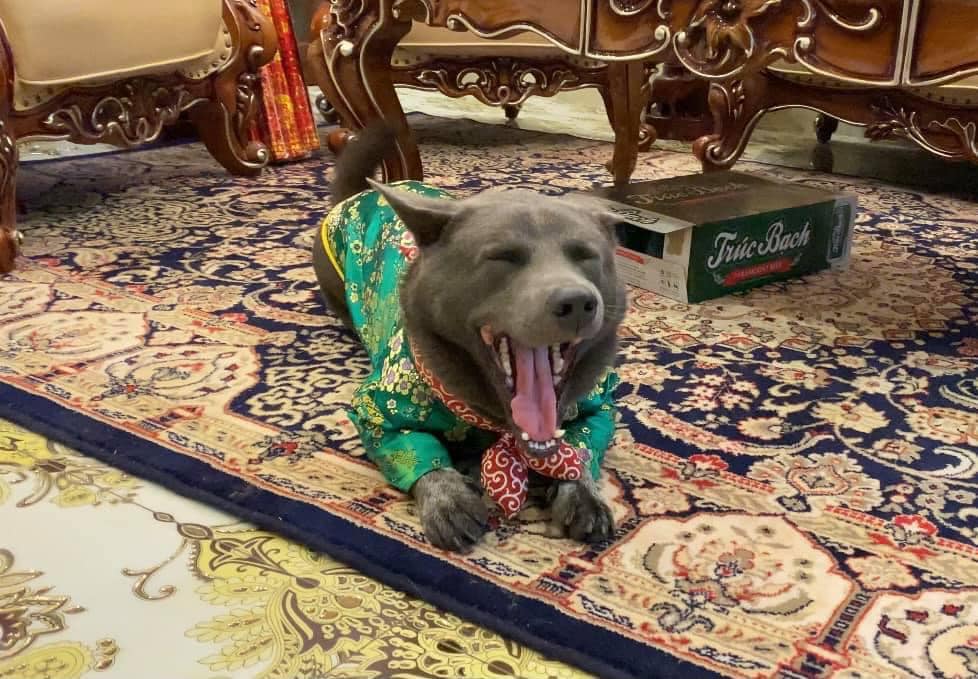 Idol Nguyễn Văn Dúi nay đã khác, thay đổi hình tượng thần thái trong mắt các fan nhưng chỉ khiến dân mạng nhìn ra một yang hồ-3