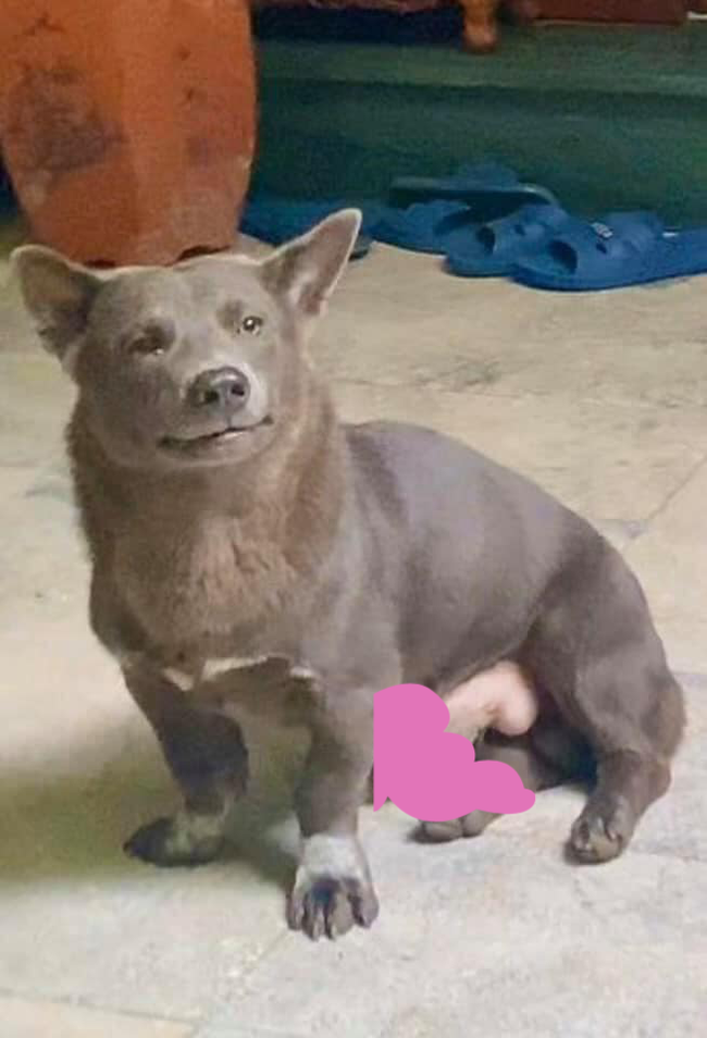 Idol Nguyễn Văn Dúi nay đã khác, thay đổi hình tượng thần thái trong mắt các fan nhưng chỉ khiến dân mạng nhìn ra một yang hồ-2