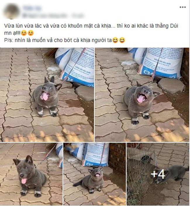 Idol Nguyễn Văn Dúi nay đã khác, thay đổi hình tượng thần thái trong mắt các fan nhưng chỉ khiến dân mạng nhìn ra một yang hồ-6