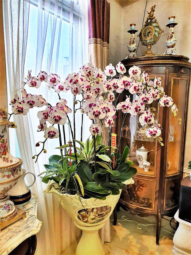 Hai trong số gia tài bất động sản của Nathan Lee: Biệt thự 8 tầng 1.000m2 tại Hà Nội, villa 12.000m2 tại Beverly Hills-10