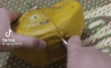 Sự thật đắng ngắt trong trái bưởi thỏi vàng của nhà giàu Việt-1