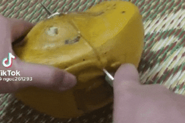 6 cách chi tiêu của người giàu luôn mang tới sự khác biệt về tài chính-6