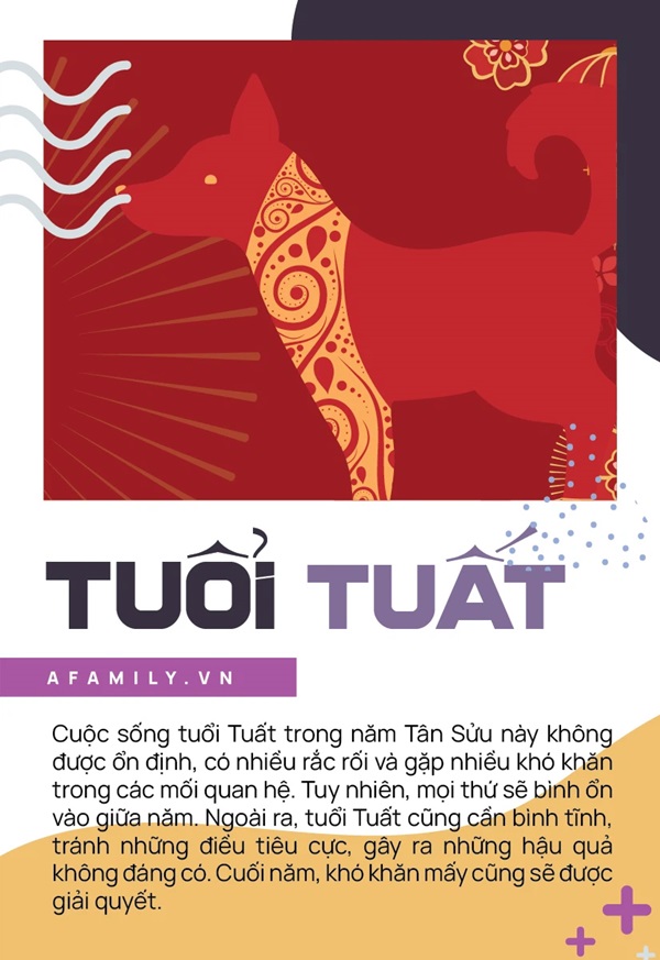 12 con giáp và biến động trong năm Tân Sửu: Người thì tốt đẹp hoàn mỹ từ sự nghiệp đến tài vận, người vẫn phải chịu thêm một năm vất vả-11